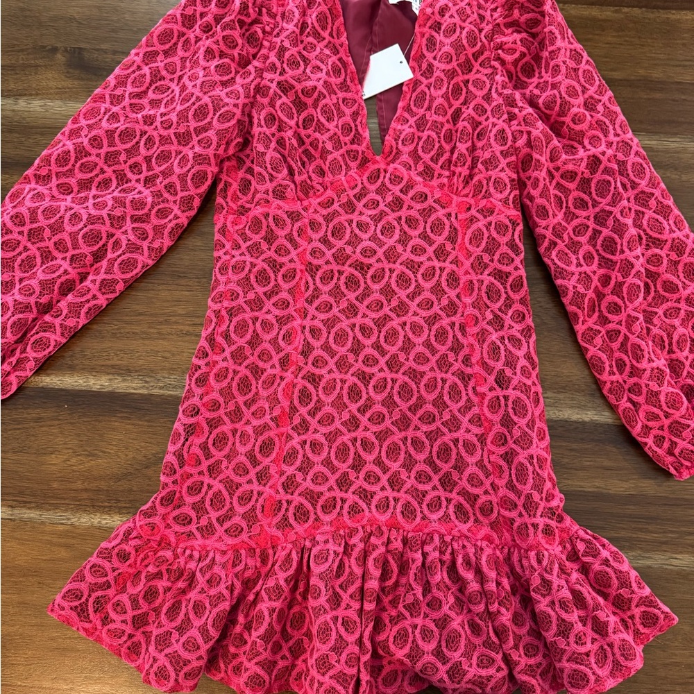 Walter Baker Hot Pink Lace Long Sleeve Ruffle Dress ($298)